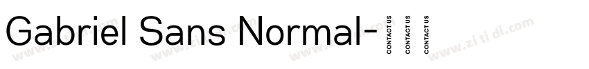 Gabriel Sans Normal字体转换